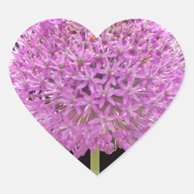 Illium Summer Spring Blume - Irish Design Herz-Aufkleber (Vorderseite)