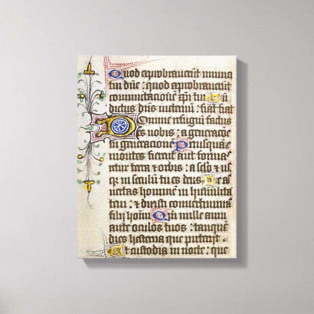 Illuminierte Handschrift Leinwanddruck (Vorderseite)