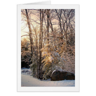 Illuminierter Winter