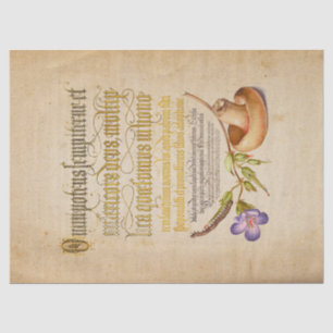 Illuminiertes Kalligraphiefachpapier Seidenpapier
