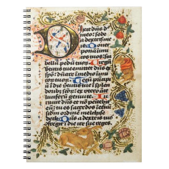 Illuminiertes Manuskript-Notebook Notizblock (Vorderseite)