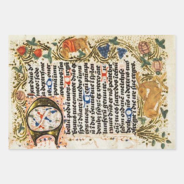 Illuminiertes Manuskriptorpapier Geschenkpapier Set (Vorderseite)