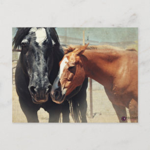 Illusion u. Eile Postkarte