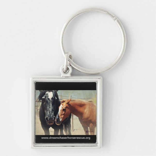 Illusion u. Eile Schlüsselanhänger (Vorne)