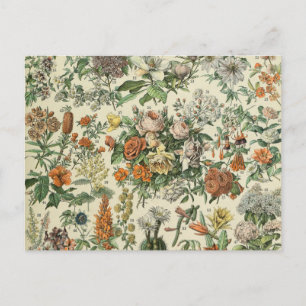 Illustration alter Blumen Adolphe Millot Postkarte