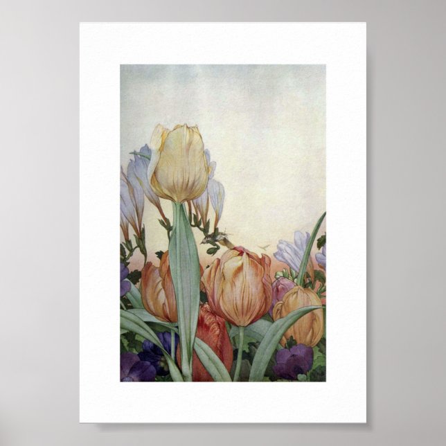 Illustration alter Blumen Poster (Vorne)