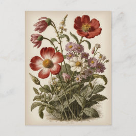 Illustration alter Blumen  Postkarte