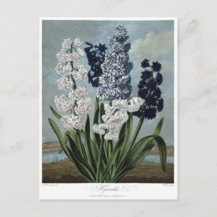 Illustration alter Blumen Postkarte