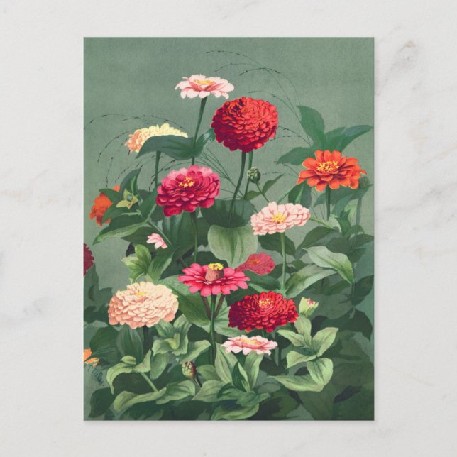 Illustration alter Blumen Postkarte (Vorderseite)