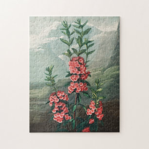 Illustration alter Blumen Puzzle