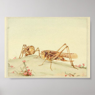 Illustration alter Insekten Poster