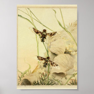 Illustration alter Insekten Poster