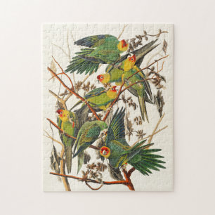 Illustration alter Papageien Geschenk für Vogellie Puzzle