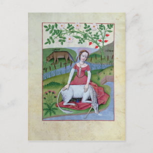Illustration aus dem "Buch der einfachen Arzneimit Postkarte