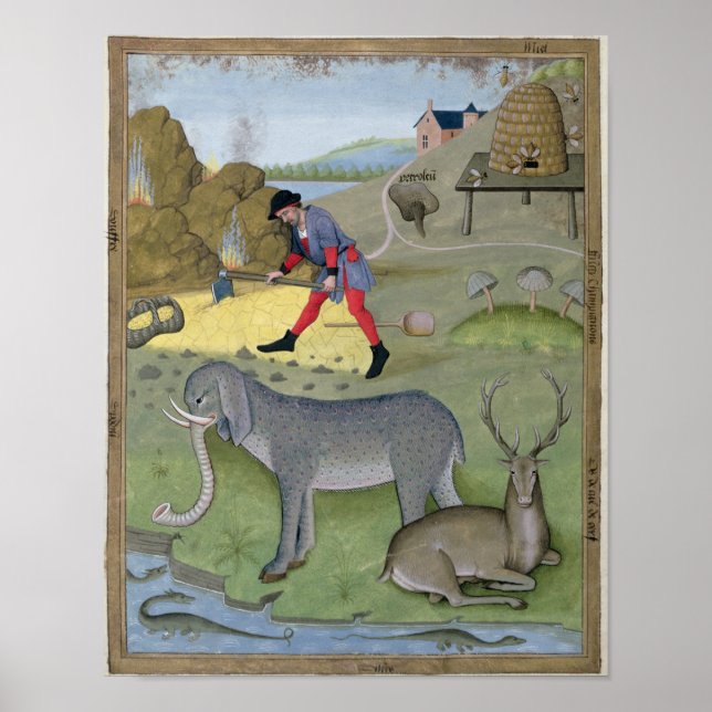 Illustration aus dem "Buch des Einfachen Poster (Vorne)