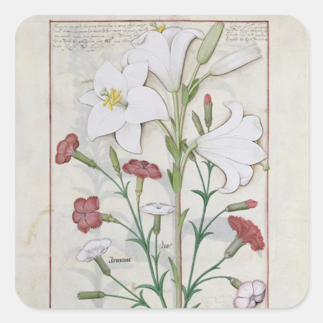 Illustration aus dem "Buch des Einfachen Quadratischer Aufkleber (Vorderseite)