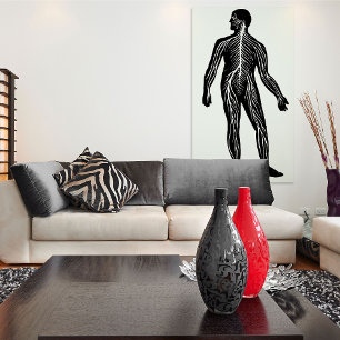 Illustration der Anatomie des menschlichen Nervens Poster