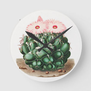 Illustration der Blüte des Elefantenzahnkaktus Runde Wanduhr