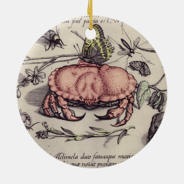Illustration der botanischen Insekten-Blume Keramik Ornament (Hinten)