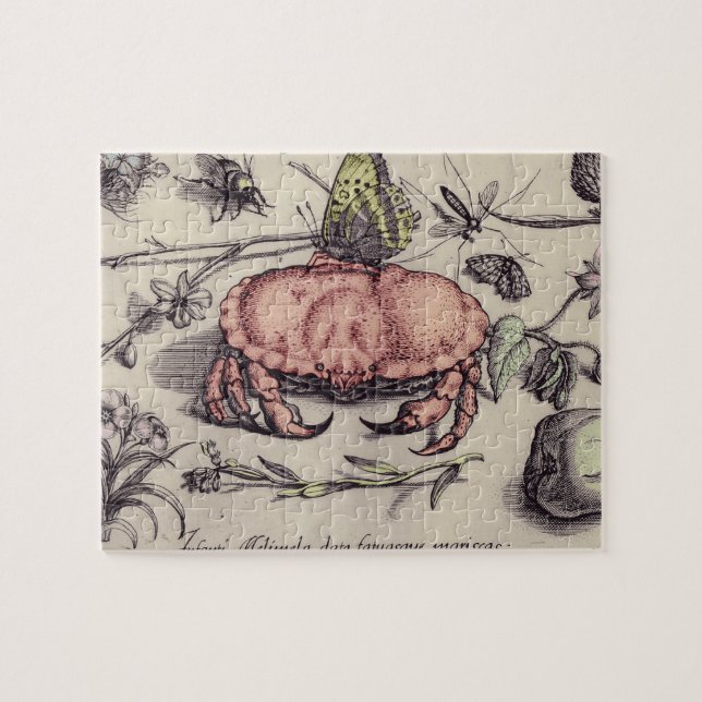 Illustration der botanischen Insekten-Blume Puzzle (Horizontal)