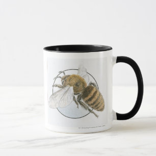 Illustration der europäischen Honig-Biene Tasse
