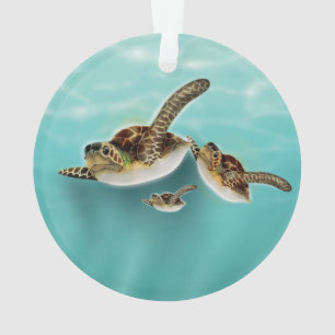 Illustration der Meeresschildkröten Ornament