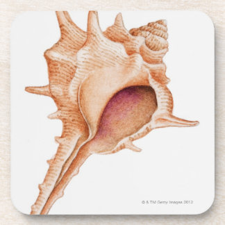 Illustration der Murex-Muschel Getränkeuntersetzer