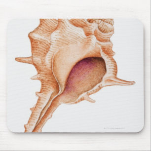 Illustration der Murex-Muschel Mousepad