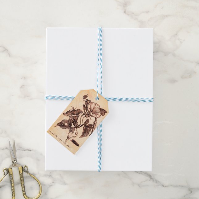 Illustration der Prunkwinde Geschenkanhänger (Mit Garn)