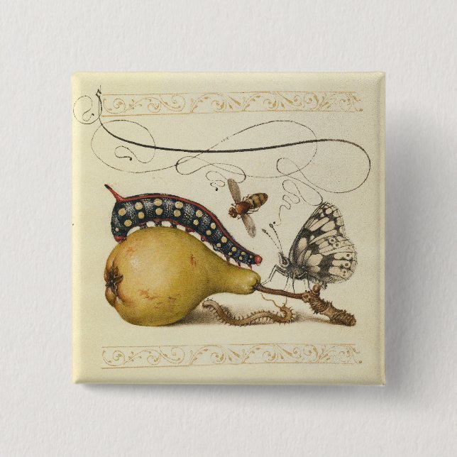 Illustration der Schmetterlingsbeere Button (Vorderseite)