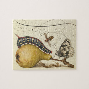 Illustration der Schmetterlingsbeere Puzzle