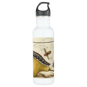 Illustration der Schmetterlingsbeere Trinkflasche