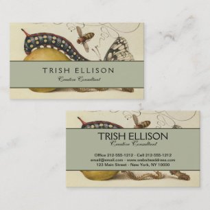 Illustration der Schmetterlingsbeere Visitenkarte