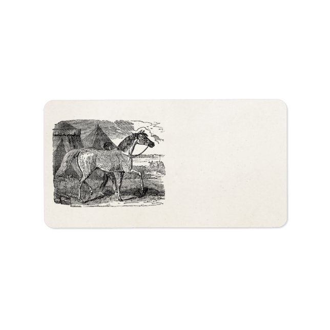 Illustration der Vintagen arabischen Pferdepyramid Adressaufkleber (Vorne)