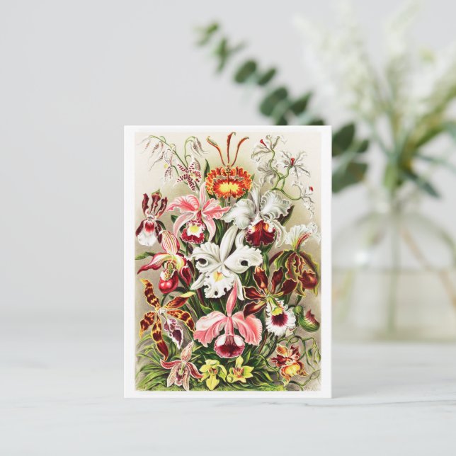 Illustration der Vintagen Orchideen Postkarte (Stehend Vorderseite)