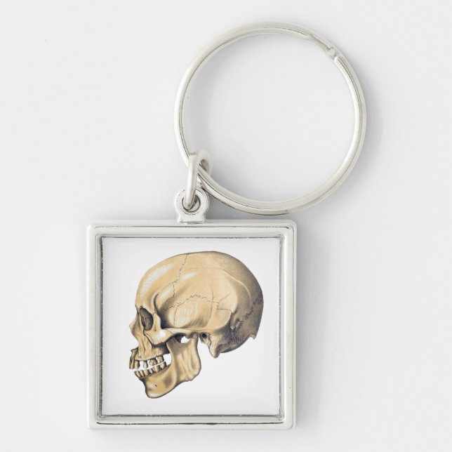 Illustration der Vintagen Schädelanatomie Schlüsselanhänger (Vorne)