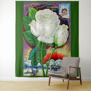 Illustration der Weißen Rose aus einem Rosenkatalo Wandteppich
