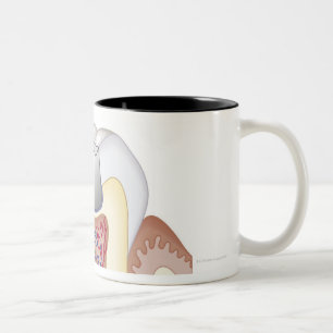 Illustration der zahnmedizinischen Füllung Zweifarbige Tasse