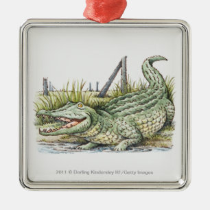 Illustration des Alligators auf dem Ufer Ornament Aus Metall