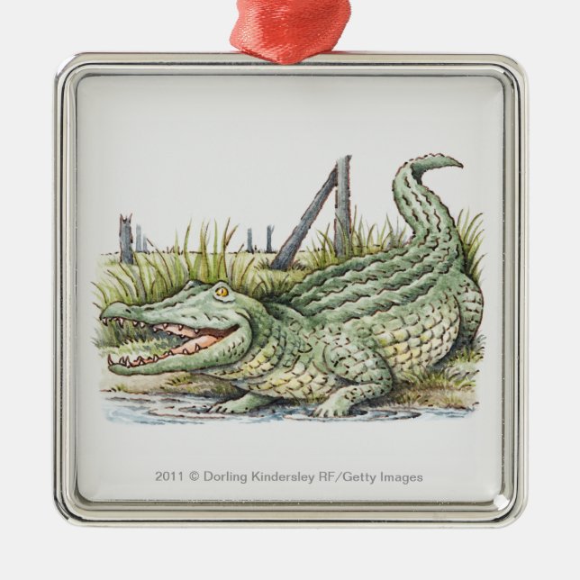 Illustration des Alligators auf dem Ufer Ornament Aus Metall (Vorne)