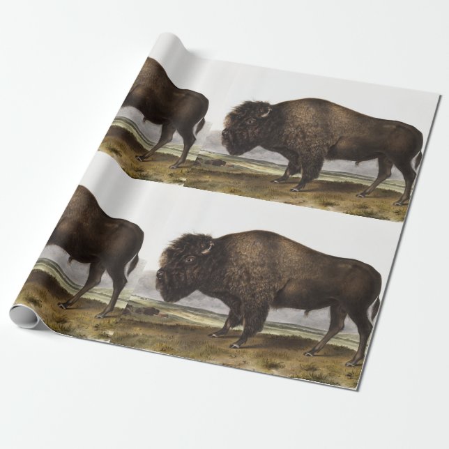Illustration des amerikanischen Bison (Bos America Geschenkpapier (Ungerollt)