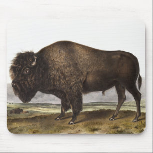 Illustration des Amerikanischen Bisons (Bos Americ Mousepad