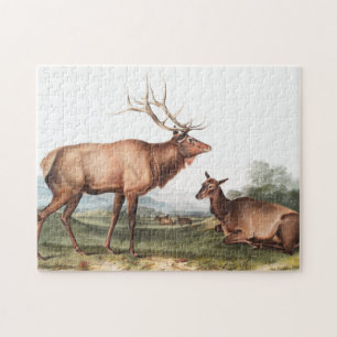 Illustration des amerikanischen Elchs (Cervus Cana Puzzle
