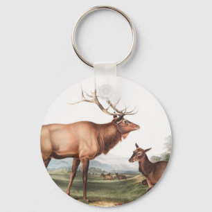 Illustration des amerikanischen Elchs (Cervus Cana Schlüsselanhänger