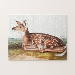 Illustration des amerikanischen Hirsches (Cervus V Puzzle
