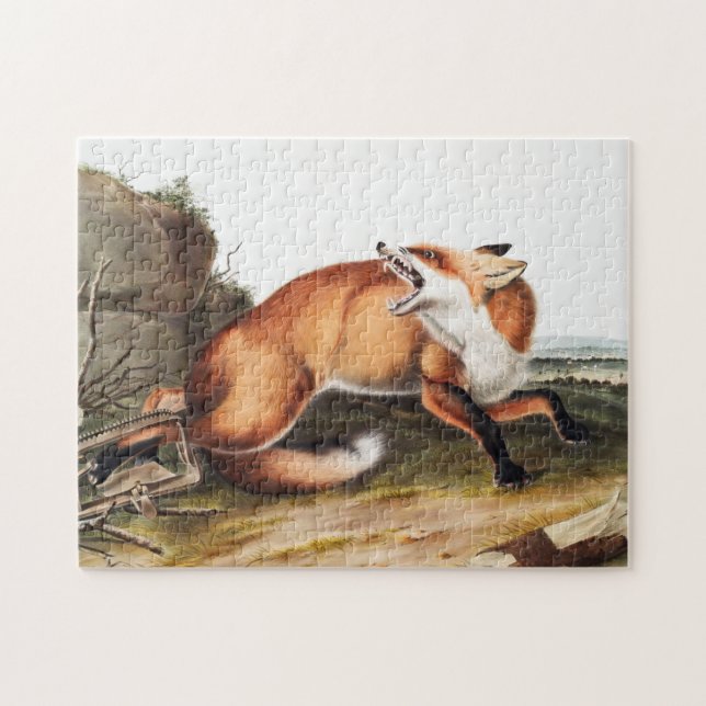 Illustration des Amerikanischen Rotfuchs (Vulpes F Puzzle (Horizontal)