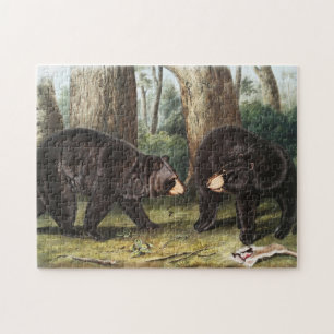 Illustration des Amerikanischen Schwarzbären Ursus Puzzle
