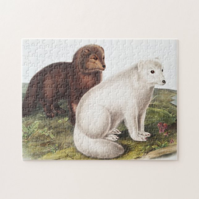 Illustration des Arktischen Foxes (Vulpes lagopus) Puzzle (Horizontal)