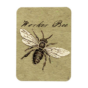 Illustration des Bieneninsekts Magnet