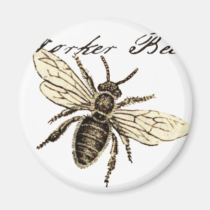 Illustration des Bieneninsekts Magnet